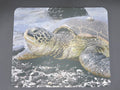 Sea Turtle Mousepads