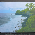Big Island Palm Tree Coastline Mousepads