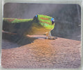 Gold Dust Day Gecko Mousepads