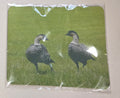 Look at my Anklet Nene Mousepad