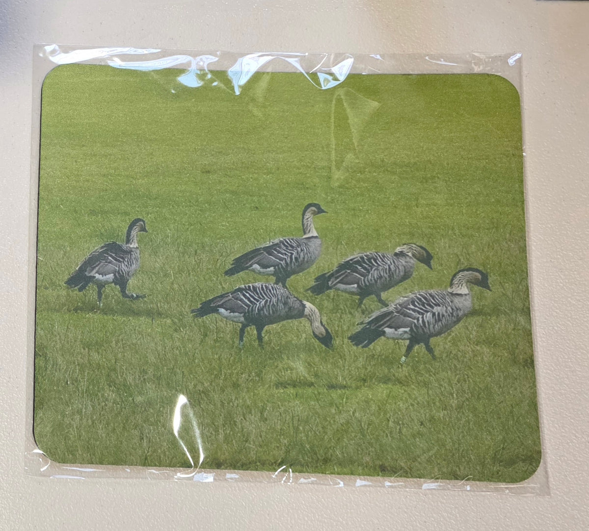 Nene's Eating Mousepad