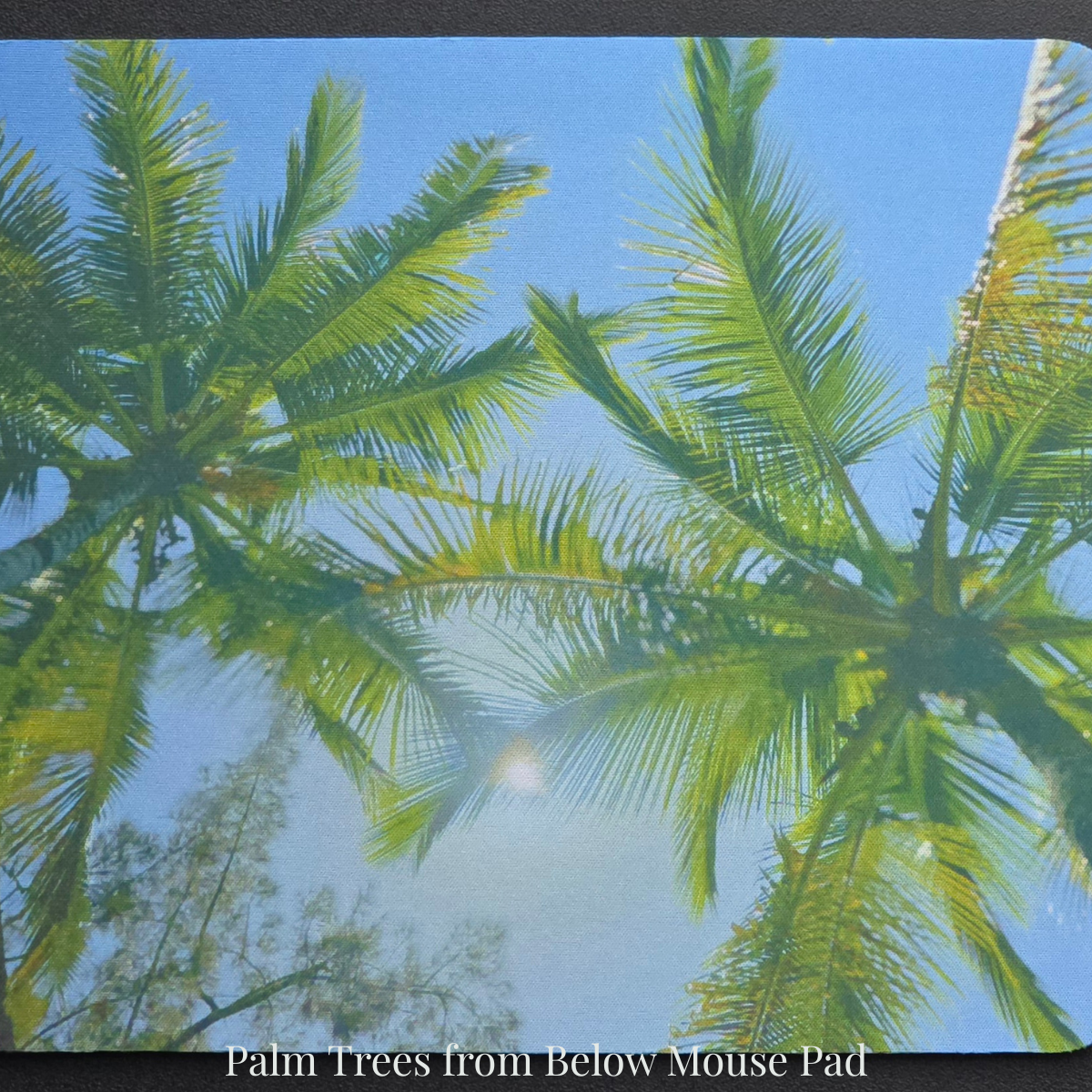 Palm Trees from Below Mousepads