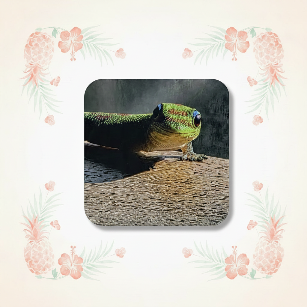 Gecko magnet with the clean background