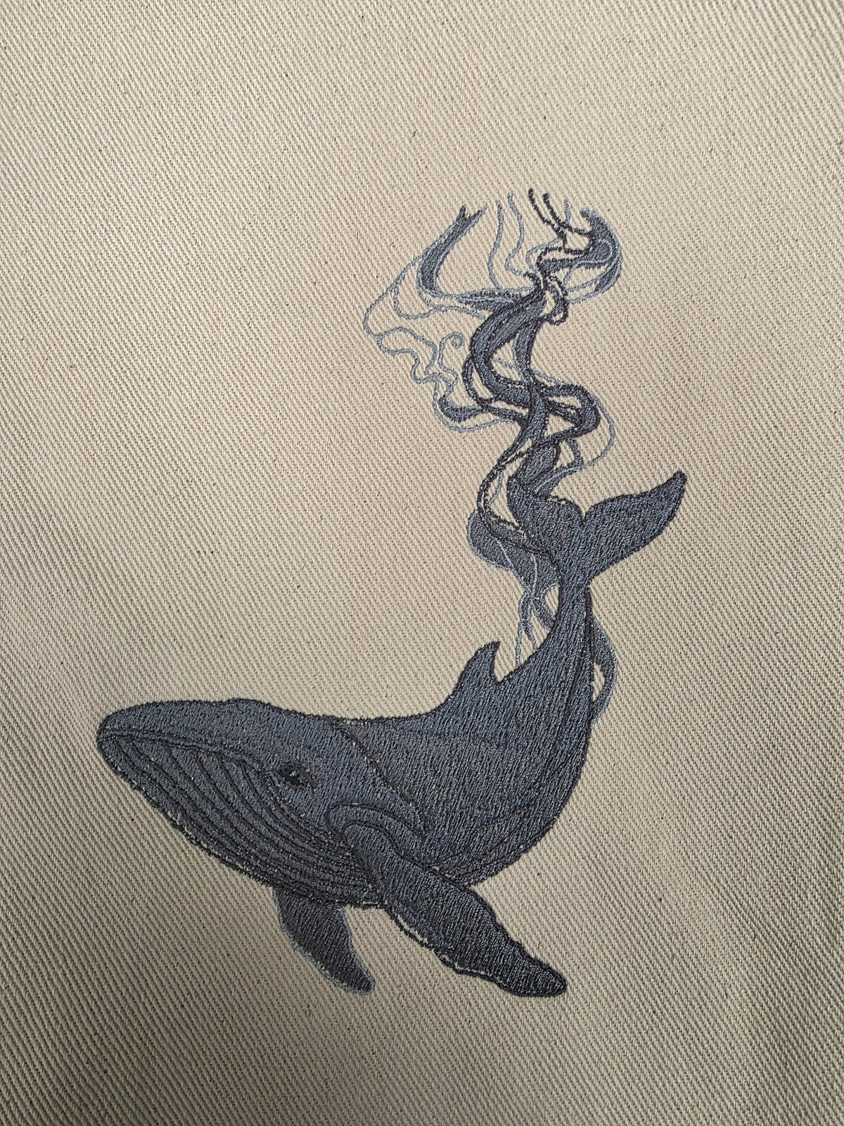Humpback Whale