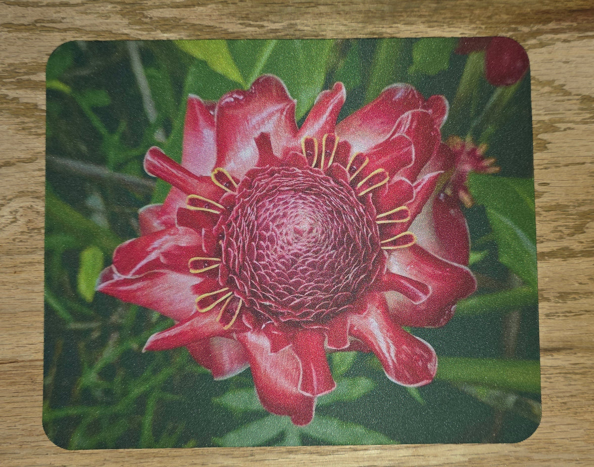 A rectangular mousepad with rounded corners featuring a close-up print of a pink protea flower.