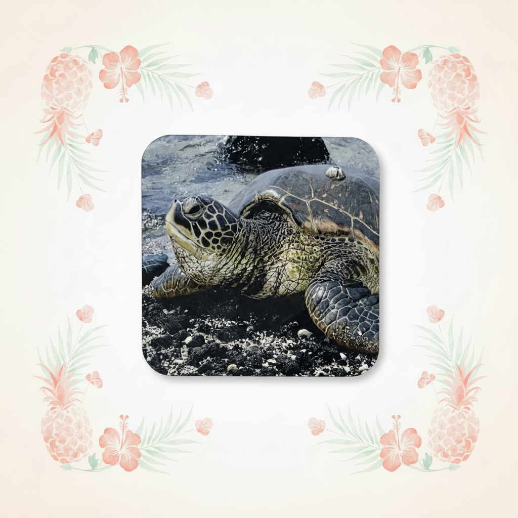 Sea turtle magnet with the clean background