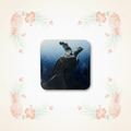 Swimming sea turtle magnet with the clean background